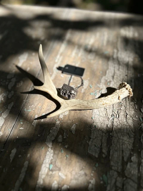 Silver Skulls Ring